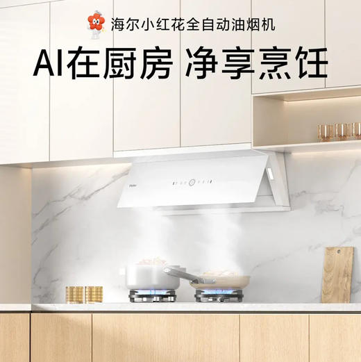海尔（Haier）烟机 CXW-358-EC936UD 商品图0