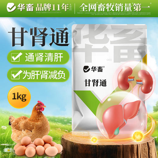 华畜  肝肾通   通肾清肝 为肝减负 商品图0