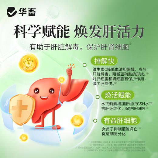 华畜  肝肾通   通肾清肝 为肝减负 商品图2