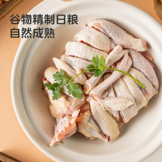 MM 山姆 港式瑶柱风味清远鸡煲 1.1kg 商品图2