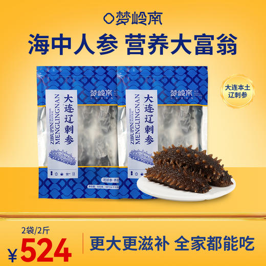 【尊贵海参 百补营养】梦岭南 鲜食海参500g 正宗大连深海  大个海参 全面营养 老少皆宜 商品图1