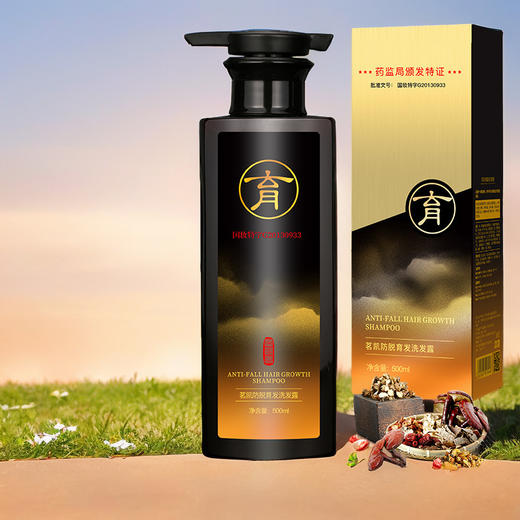 新款新品专供防脱育发洗发水生姜侧柏叶固发养发防掉发洗发露护发素 商品图3
