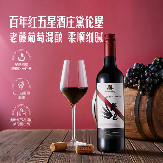 MM 山姆 d‘Arenberg澳大利亚进口 黛伦堡喜鹊 西拉维欧尼红葡萄酒 750ml 商品图1