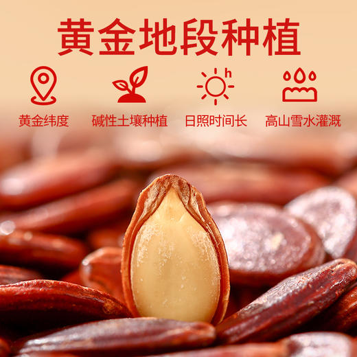 428g旭东话梅味红瓜子百里挑一瓜子罐装红皮瓜子婚庆 商品图3