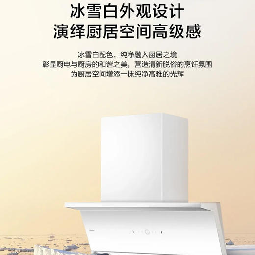 海尔（Haier）烟机 CXW-358-EC936UD 商品图6
