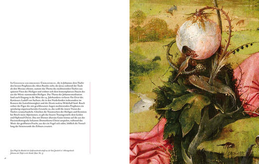 Bosch: Meisterwerke im Detail / 博斯：细节中的杰作 商品图2