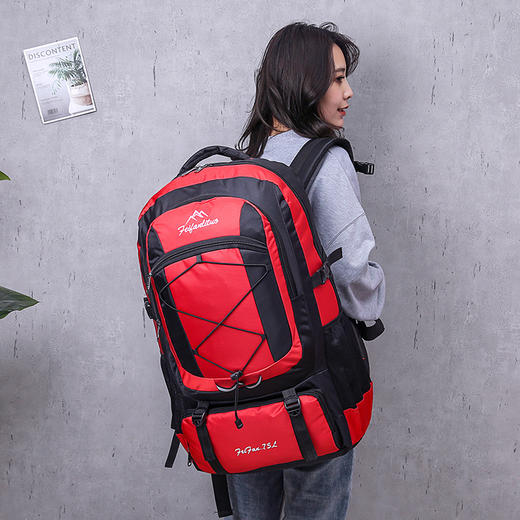 新品户外登山包大容量旅行背包打工行李背包轻便徒步登山包 商品图1