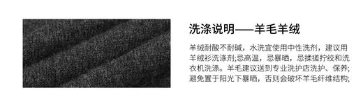 THESOONG/羊毛混纺早秋打底衫女长袖POLO领休闲宽松上衣HWMY7721 商品图7