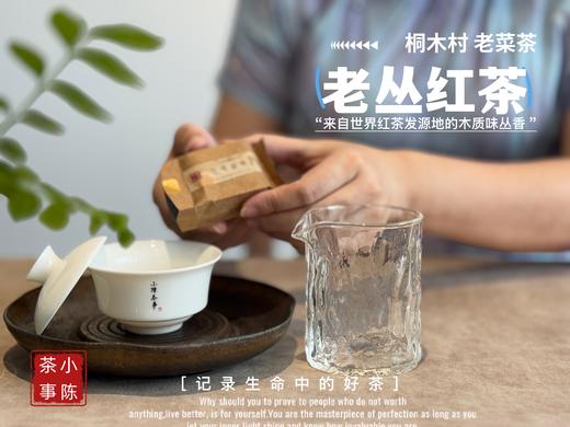 【会员福利】2025桐木老丛红茶， 岁月织就的稠滑汤水与老树木质香，温暖又美好 商品图4