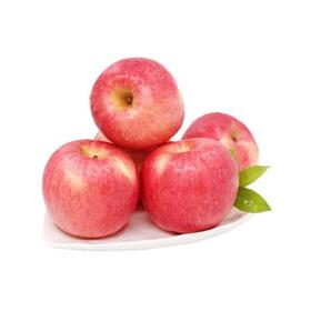 赤玉富士苹果 约500g/份