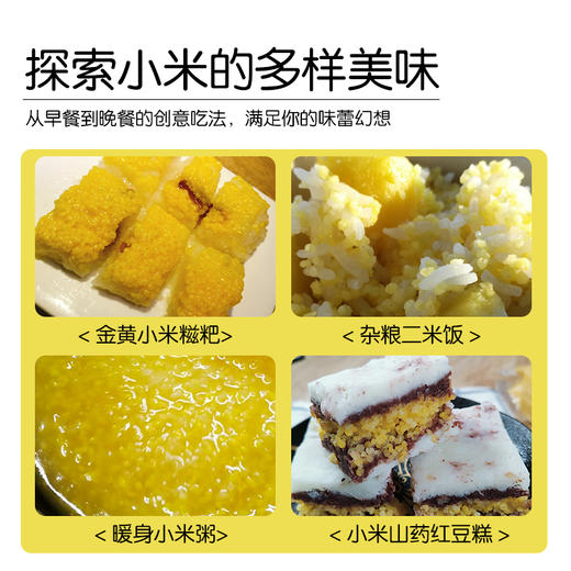 有机小米丨新鲜现磨，来自东北黑土地，当季新米，有机可溯源，米油醇厚，色泽明亮，350g/袋⭐️顺丰快递 商品图2