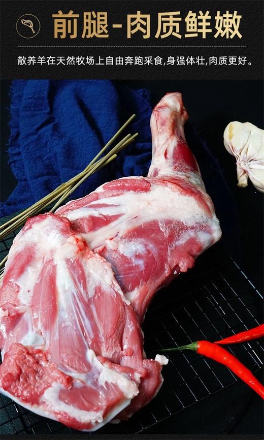 【顺丰包邮】10斤仅298再送烧烤料+卤料包，大黄鲜森半只羊礼盒装每斤不到30元 来自中国羊都巴彦淖尔"羊 活羊宰杀 4-6cm小段切割 纯原切 0添加基地直邮 顺丰 商品图3