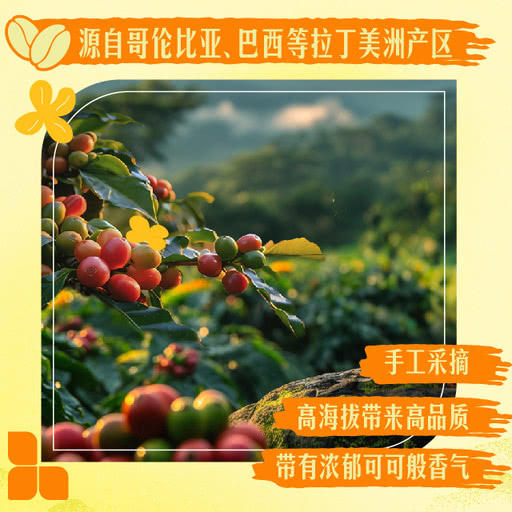 MM 山姆 星巴克 秋天好馥芮白（桂花风味）250ml*6 商品图3