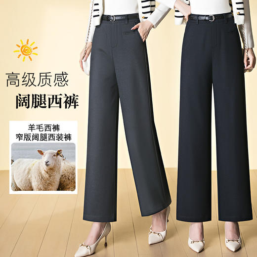 HSS 3067西装裤高腰显瘦高级感休闲毛料窄版阔腿裤 商品图0