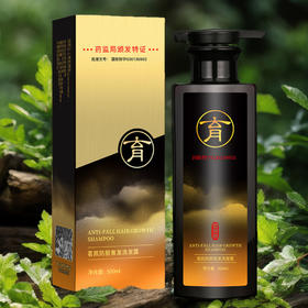 新款新品专供防脱育发洗发水生姜侧柏叶固发养发防掉发洗发露护发素