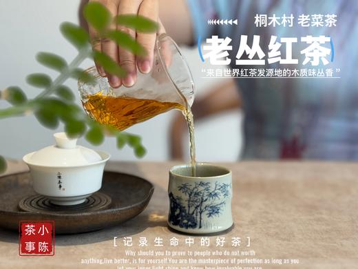【会员福利】2025桐木老丛红茶， 岁月织就的稠滑汤水与老树木质香，温暖又美好 商品图10