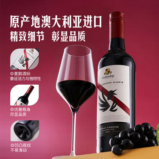 MM 山姆 d‘Arenberg澳大利亚进口 黛伦堡喜鹊 西拉维欧尼红葡萄酒 750ml 商品图2