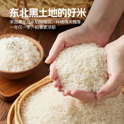 【五常长粒香10斤、新米真空装】东北大米、大米、产地直发 商品图1