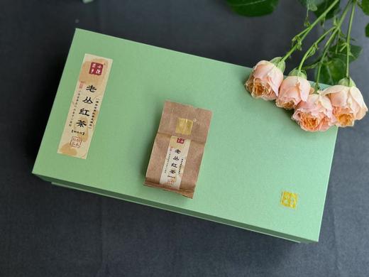 【会员福利】2025桐木老丛红茶， 岁月织就的稠滑汤水与老树木质香，温暖又美好 商品图0
