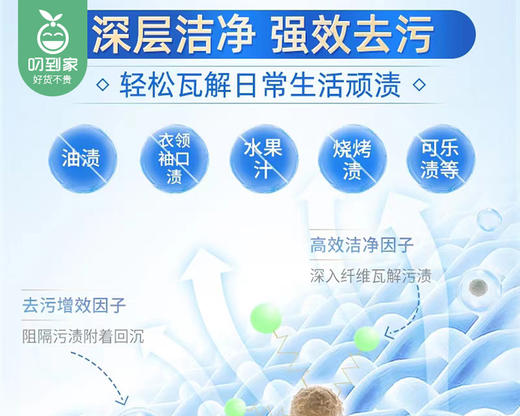 意大利菲斯安娜管家水莲花香洗衣液/1瓶（3000ml）限用日期：28年11月补单专用 商品图1