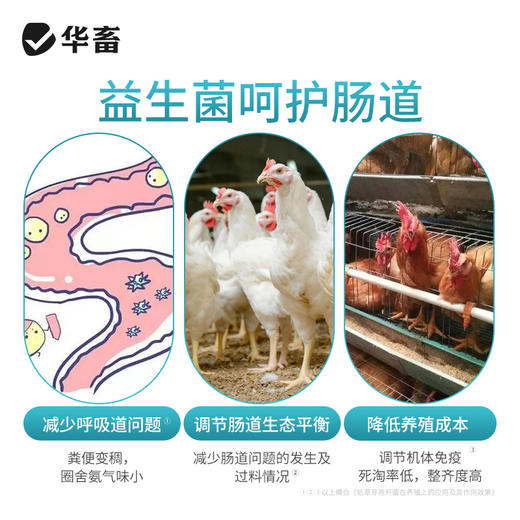 华畜禽益生2L 富含多种益生菌，调理肠道 商品图2
