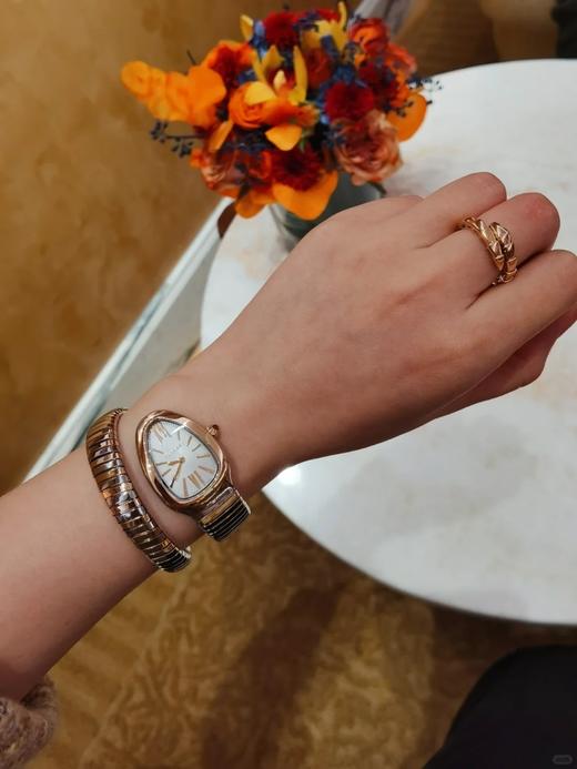 TB52-BVLGARI宝格丽  Serpenti Spiga 灵蛇腕表(SH) 商品图4
