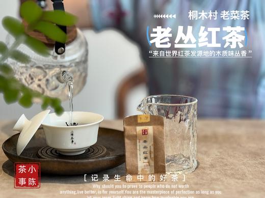 【会员福利】2025桐木老丛红茶， 岁月织就的稠滑汤水与老树木质香，温暖又美好 商品图6
