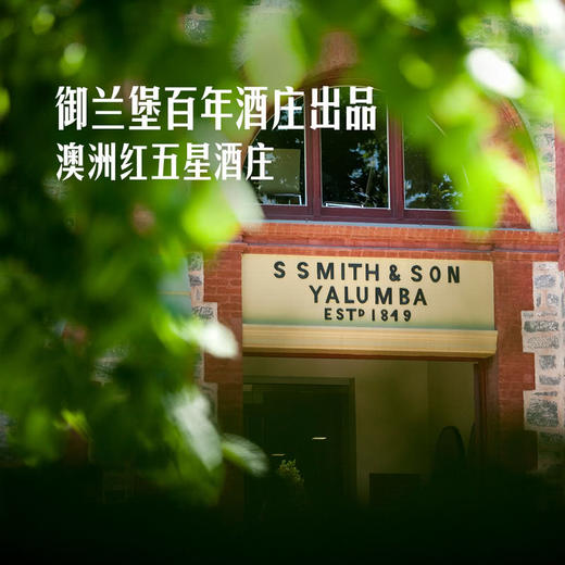 MM 山姆 Member's Mark 澳大利亚进口 巴罗萨西拉红葡萄酒 750ml 商品图3