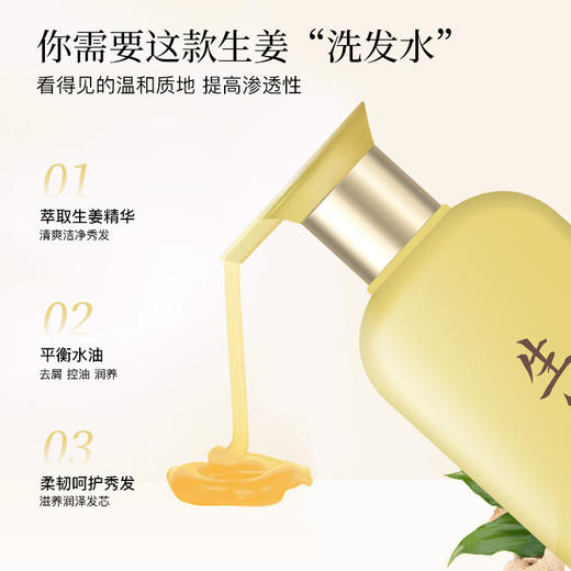 蕾昂莱老生姜洗发水厂家新款新品清爽蓬松补水保湿护发素去屑洗发水 商品图1