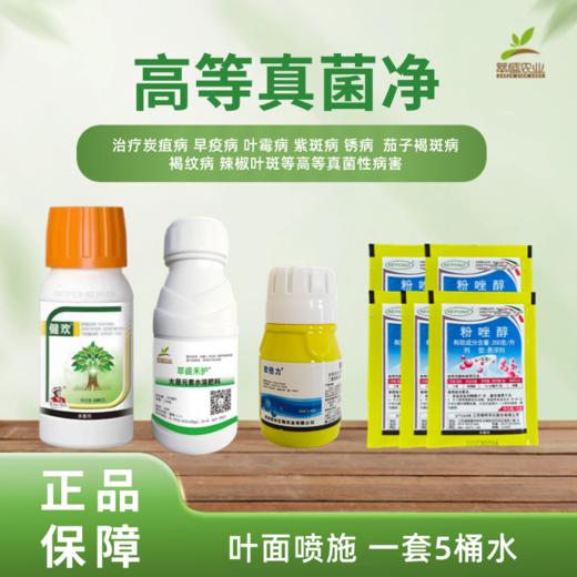 高等真菌净 商品图0