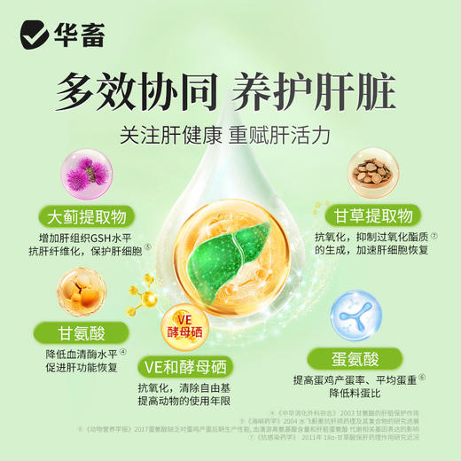 华畜  肝肾通   通肾清肝 为肝减负 商品图3