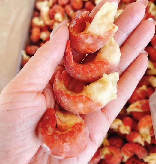 特A单冻冰衣龙虾尾 商品图2