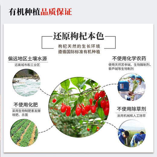 【升级版枸杞原浆】麦麦定制，额外添加了枸杞籽油，营养更高，口感更好，味道更好喝！一箱35mI袋*30袋!首发活动下单就送2袋试喝体验，大家可以放心尝试感受下! 商品图8