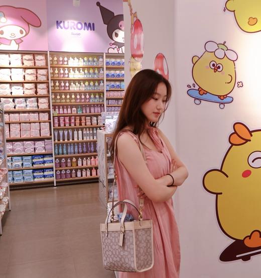 GZ216-蔻驰  Field 22 经典标志印花撞色拼接竖版 织物拼皮革 托特包Tote包购物袋手提单肩斜挎包(KS*MM) 商品图0