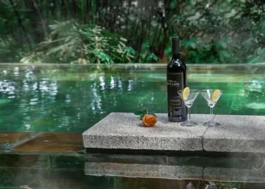 【花水湾TOP温泉酒店·第一村】仅319住森林酒店优选房，419住温泉酒店山景房，享早餐、温泉、无边泳池…周末不加价！ 商品图4