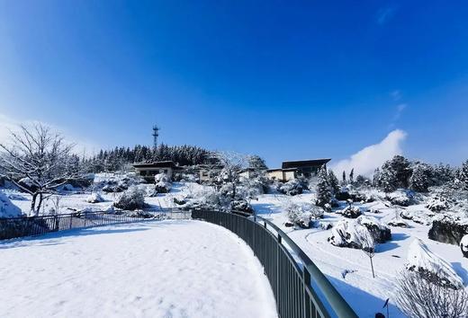 【雅安桌山黑石度假酒店·避挤优选】仅149元享1晚，229元享2晚，送下午茶，躺享山林氧吧，徒步龙苍沟，看日出彩林！ 商品图1