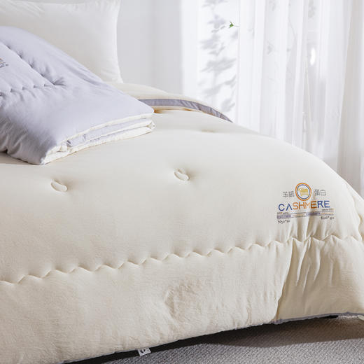 松植屋秋冬羊绒蛋白立体仓黑科技Pro被子双人加厚冬季被芯抑菌保暖 商品图1