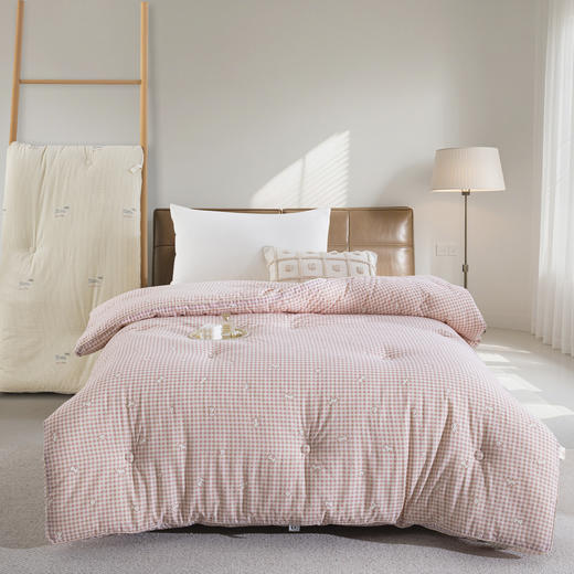 松植屋秋冬棉小豆大豆单人被子学生宿舍冬季被芯A类母婴级纯棉面料100%纯棉亲肤透气 商品图0