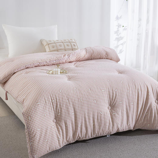 松植屋秋冬棉小豆大豆单人被子学生宿舍冬季被芯A类母婴级纯棉面料100%纯棉亲肤透气 商品图2