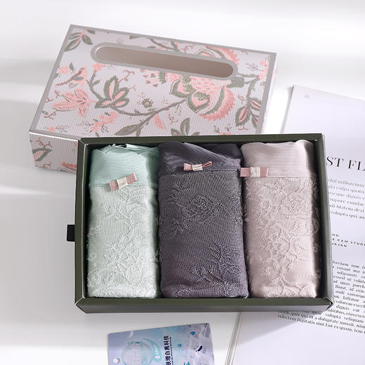 美奈川 精致提花蕾丝收腹内裤DK07345B 商品图4