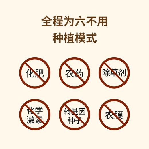 生态糙米  酵素生态六不用种植糙米2.5KG【京东快递送货上门】 商品图2