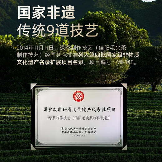 【2026年新茶预售】茶马世家丨 河南信阳毛尖 名优绿茶 特级 125g 罐装  双罐配手提袋 预计4月10日发货 商品图6