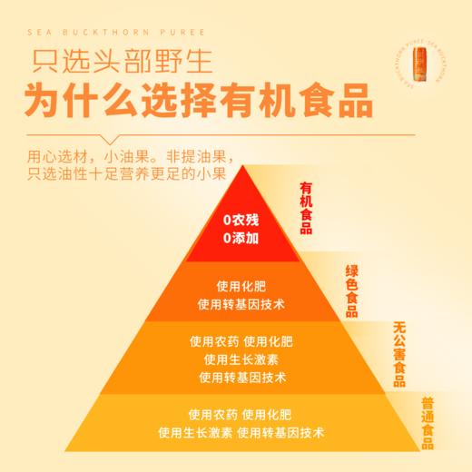 沙棘全果果汁饮料山西特产沙棘汁野生沙棘压榨原浆风味饮品罐装整箱 商品图3