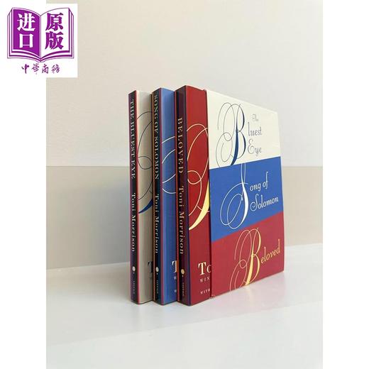 【中商原版】托妮莫里森作品套装 最蓝的眼睛 所罗门之歌 宠儿 Toni Morrison Box Set 英文原版 Toni Morrison 商品图2