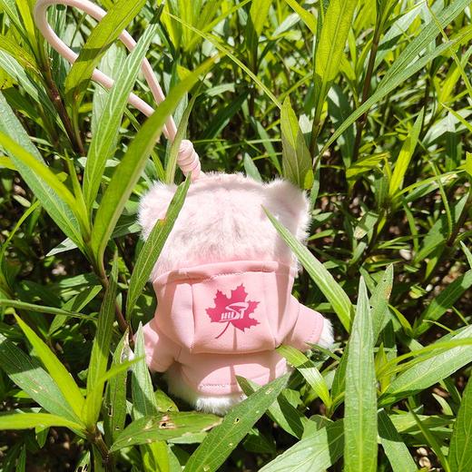 华科大毛绒卫衣纪念小熊 商品图6