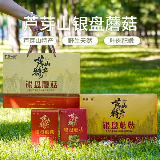 正宗山西宁武管涔山特产银盘蘑菇野生蘑菇食用菌类煲汤炒菜家用送礼礼盒装 商品图1