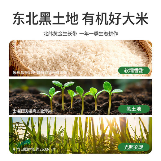 伊威有机胚芽米粉婴幼儿高铁营养米糊罐装6个月宝宝辅食大米粉 商品图1