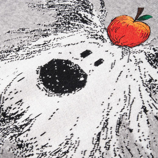 NPC潮牌CC系列刺绣苹果小狗印花针织毛衣男童趣秋上新CC59SW02 商品图3