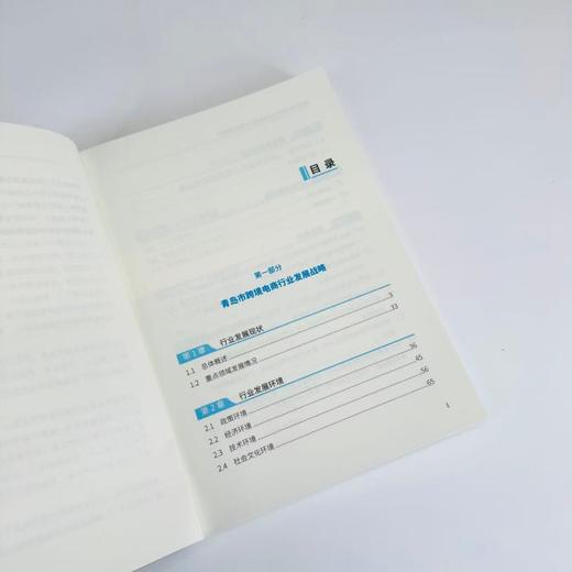 青岛市跨境电商行业发展与人才需求战略研究 政府中高院校企业研究政策产业教育人力资源机制调整数字化产业经管书籍 商品图2