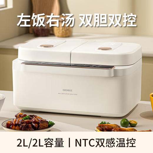 德国OIDIRE多功能双胆电饭煲【HSZQ5.0】 商品图2